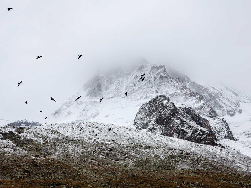 sudoku printable screenshot 3